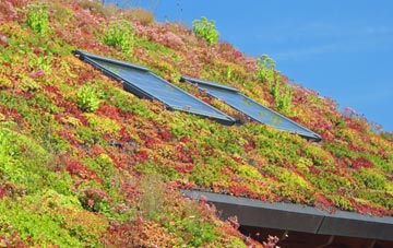 Scamland living roof systems